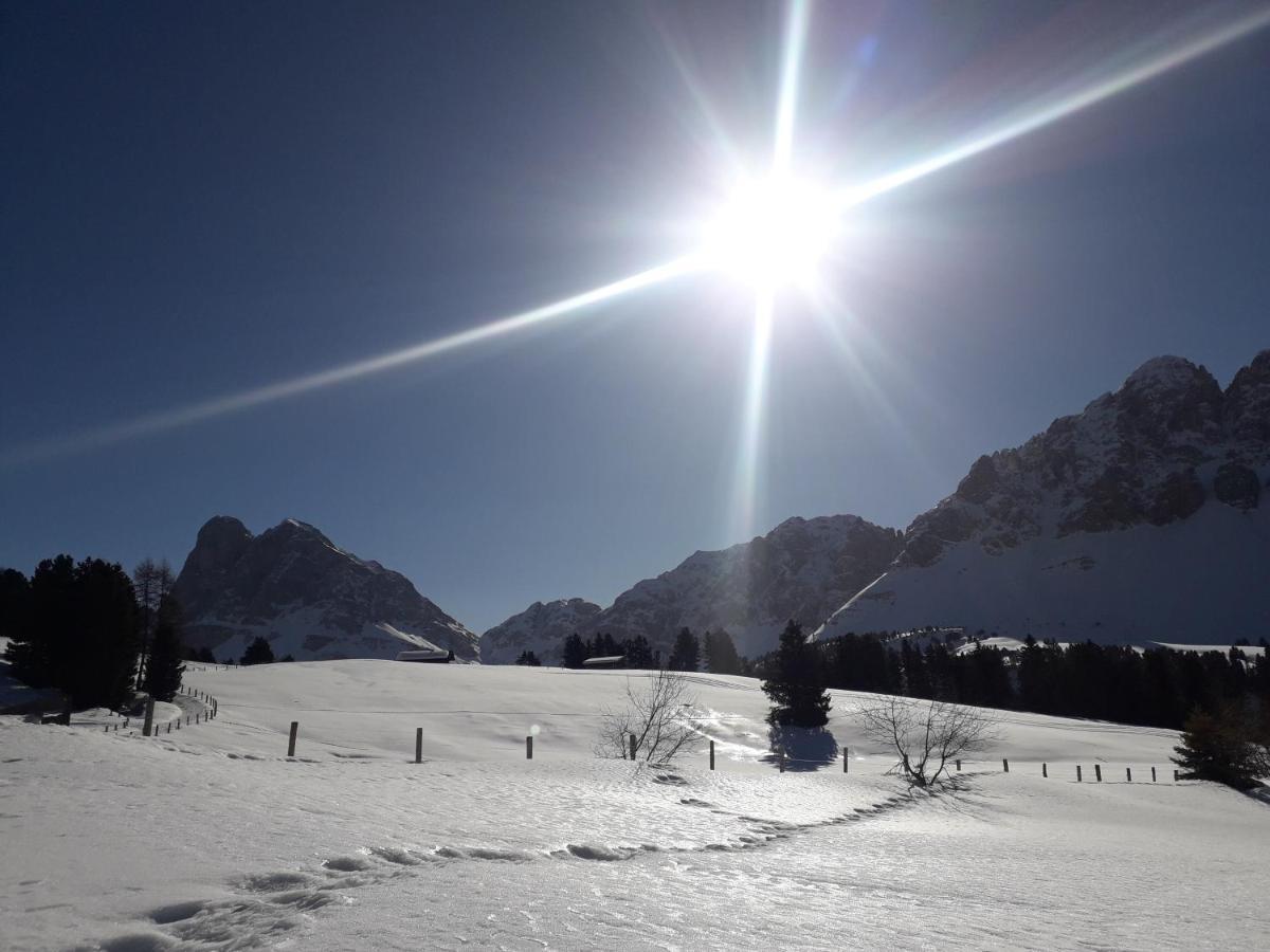 Mountain Residence Alpenhof - Company Hotel Alpenhof Kg Sas Der Gasser Renate 브레싸노네 외부 사진
