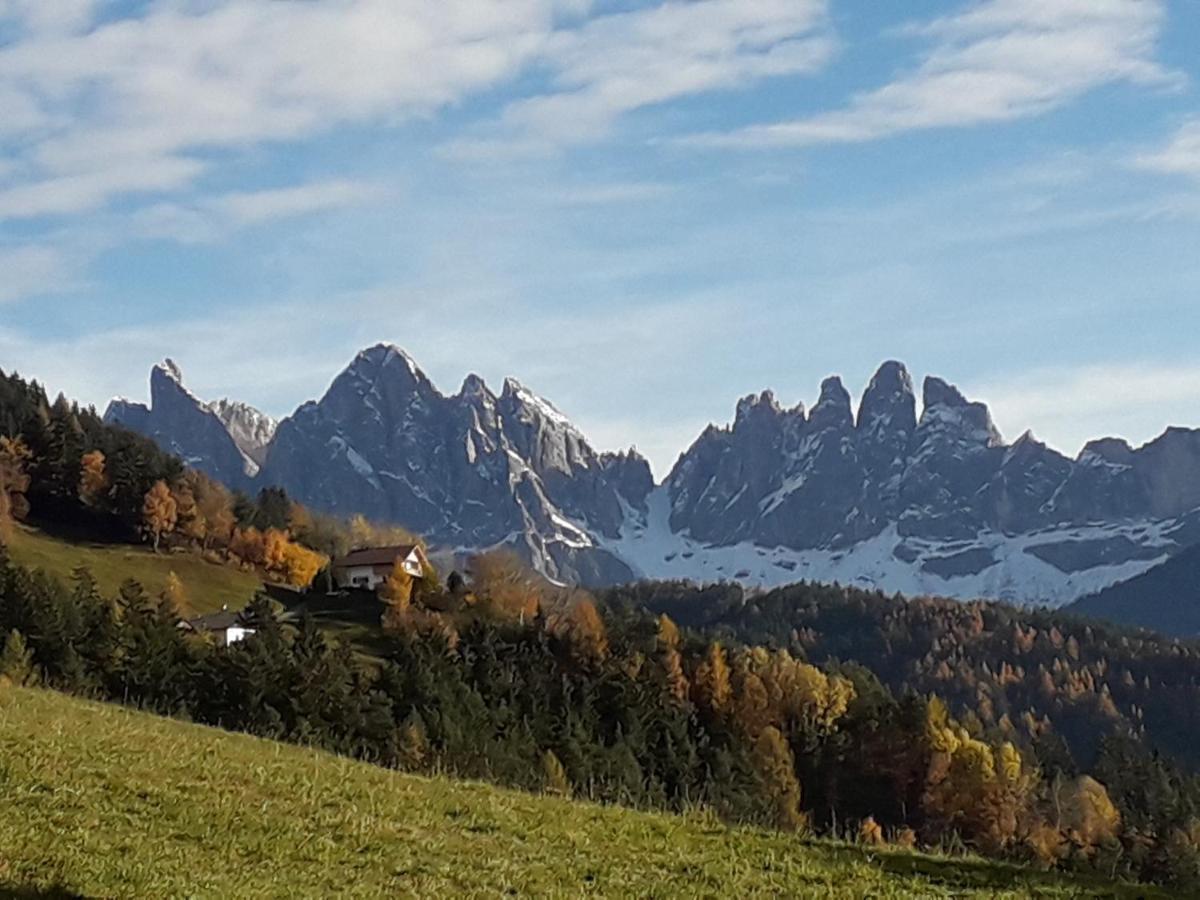 Mountain Residence Alpenhof - Company Hotel Alpenhof Kg Sas Der Gasser Renate 브레싸노네 외부 사진