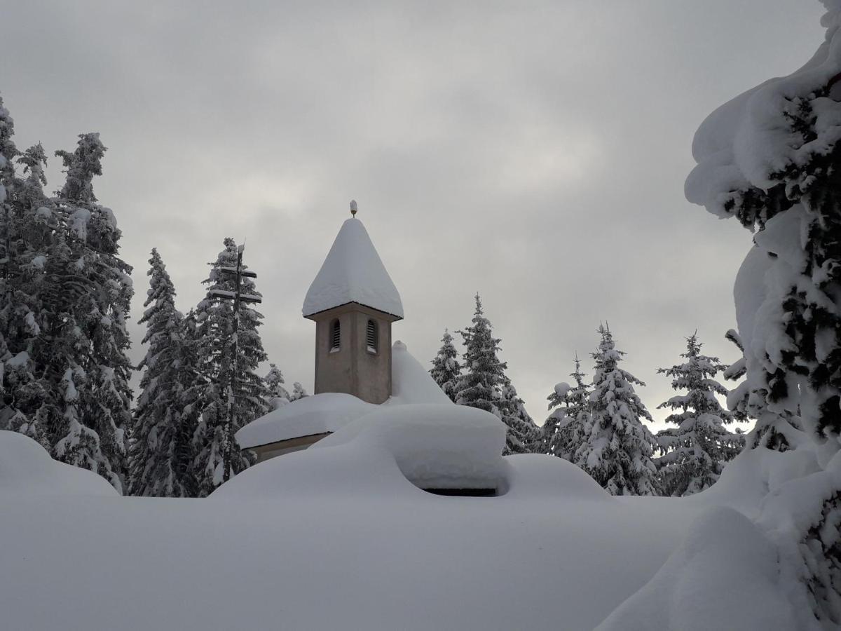 Mountain Residence Alpenhof - Company Hotel Alpenhof Kg Sas Der Gasser Renate 브레싸노네 외부 사진
