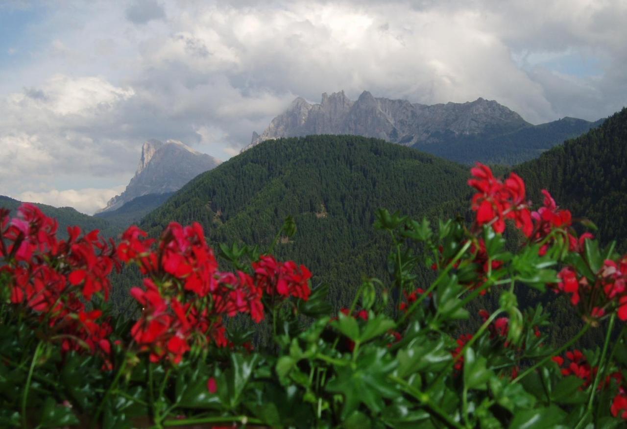 Mountain Residence Alpenhof - Company Hotel Alpenhof Kg Sas Der Gasser Renate 브레싸노네 외부 사진