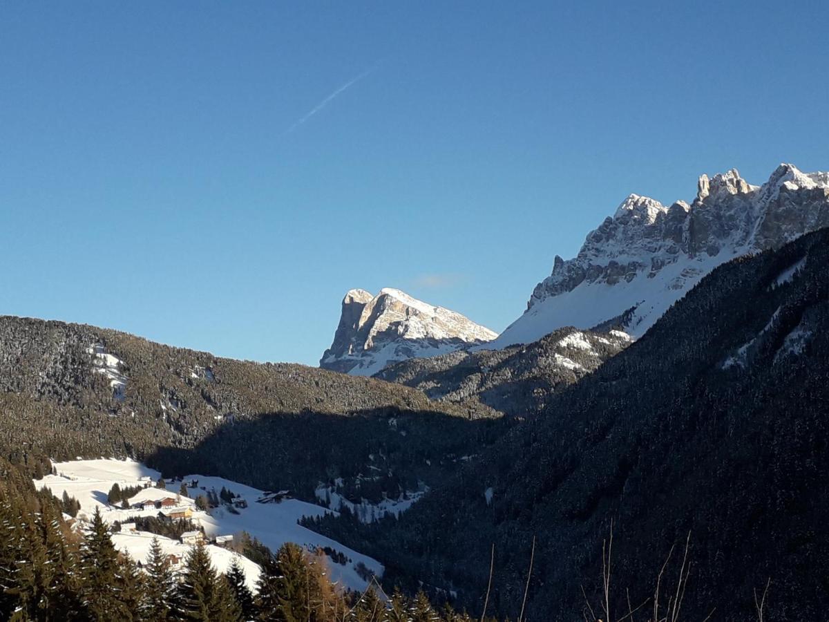 Mountain Residence Alpenhof - Company Hotel Alpenhof Kg Sas Der Gasser Renate 브레싸노네 외부 사진