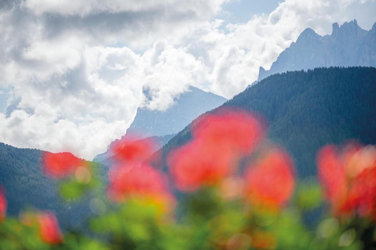 Mountain Residence Alpenhof - Company Hotel Alpenhof Kg Sas Der Gasser Renate 브레싸노네 외부 사진